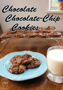 Chocolate Chocolate Chip Cookies from Allergy Superheroes | Chocolately and Delicious!