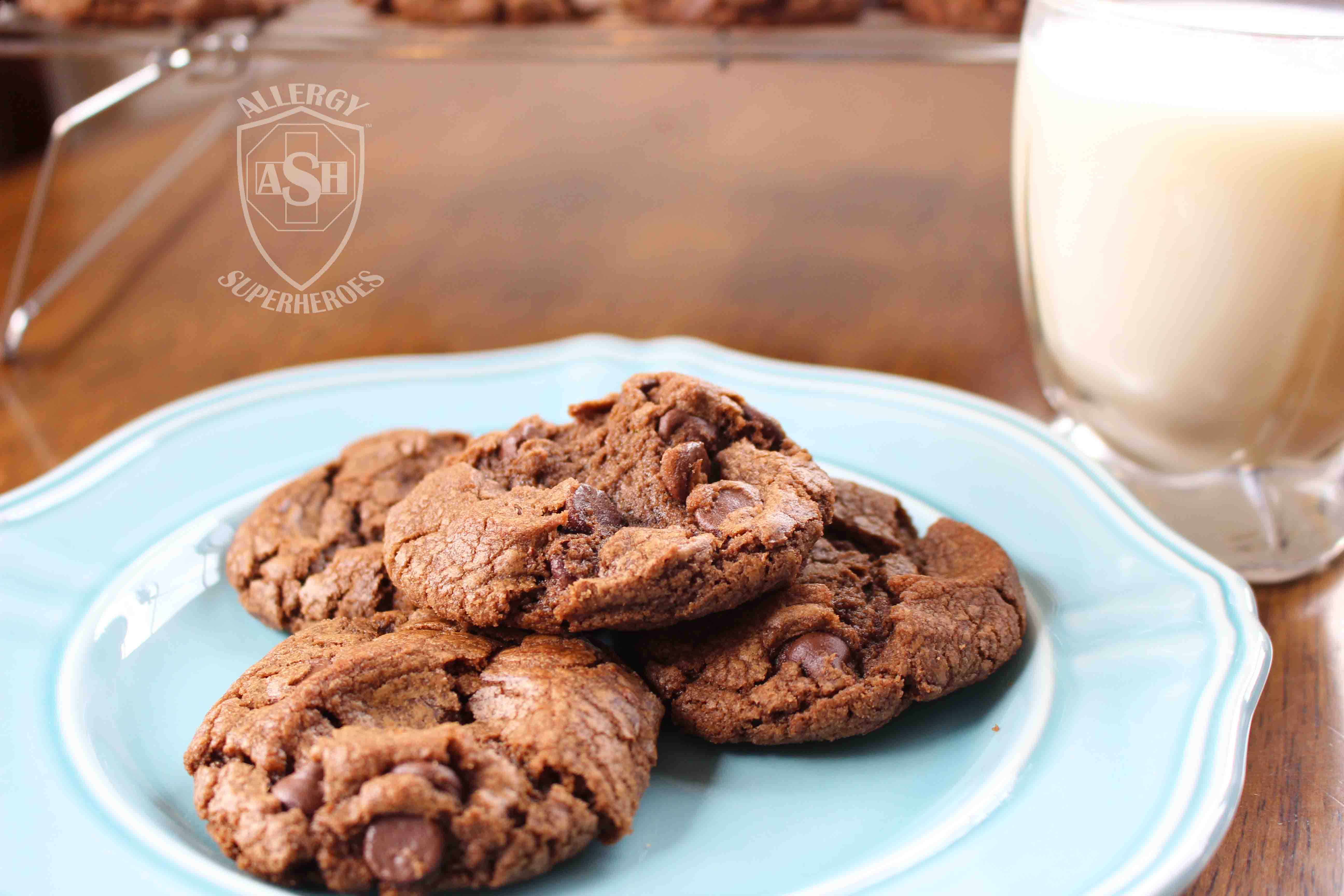 Chocolate Chocolate Chip Cookies from Allergy Superheroes | Chocolately and Delicious!