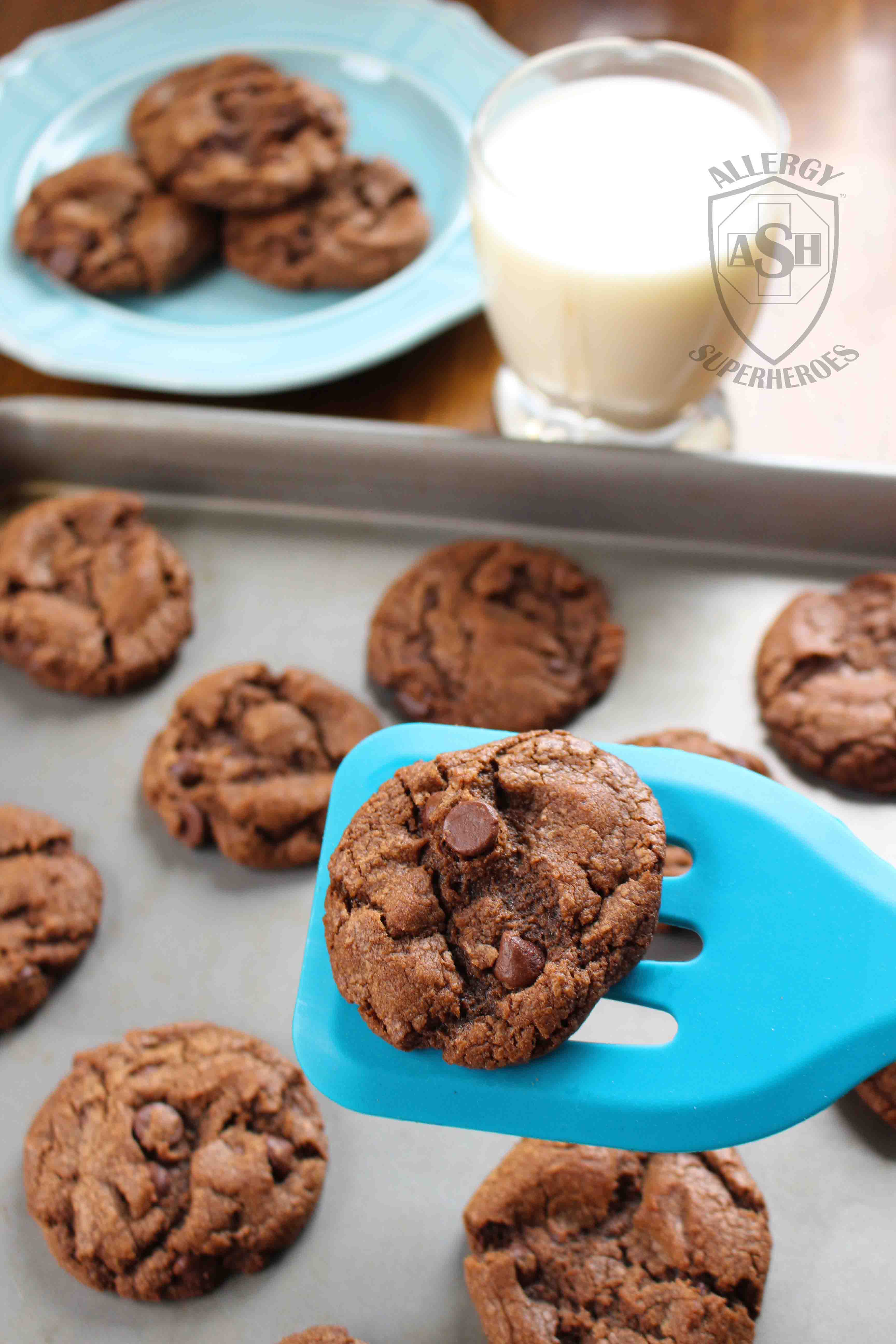 Chocolate Chocolate Chip Cookies from Allergy Superheroes | Chocolately and Delicious!