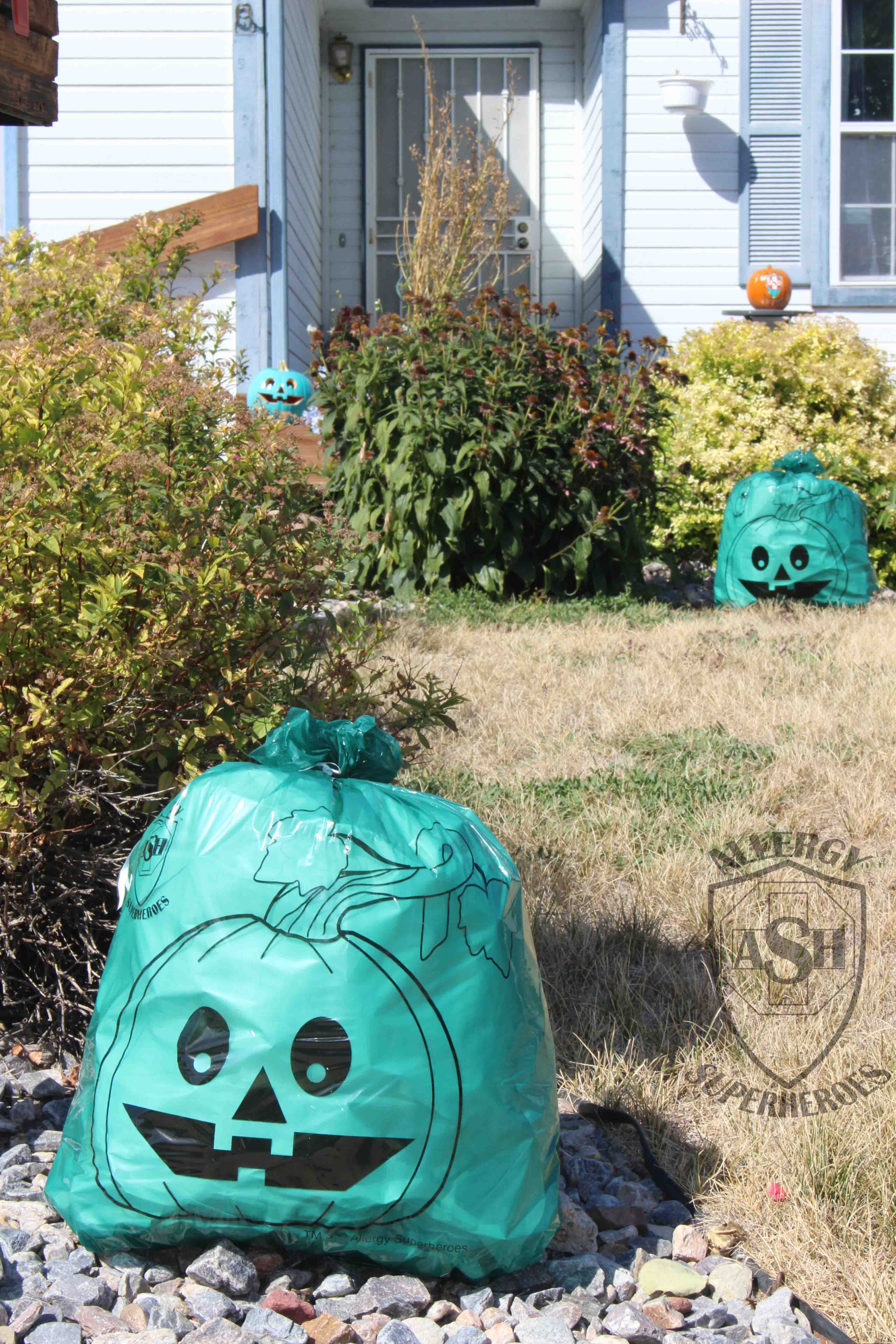 Teal Pumpkin Leaf Bags from Allergy Superheroes