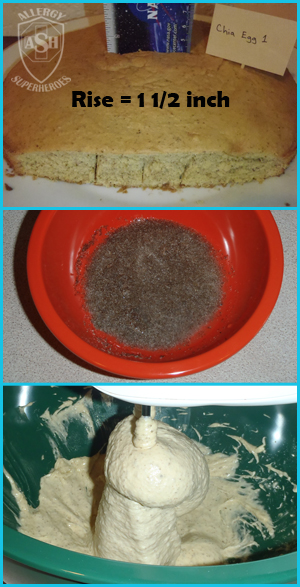 Which Egg Replacer Works Best for Cake? - This is Chia without baking soda | Allergy Superheroes Blog