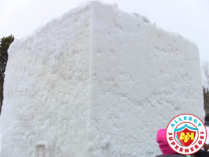 Breckenridge Snow Sculpture blank snow block by food Allergy Superheroes