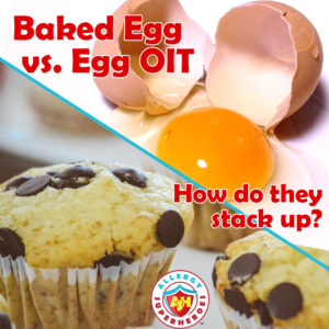 Baked Egg versus Egg OIT | Cracked egg above Baked chocolate chip muffins | by Allergy Superheroes