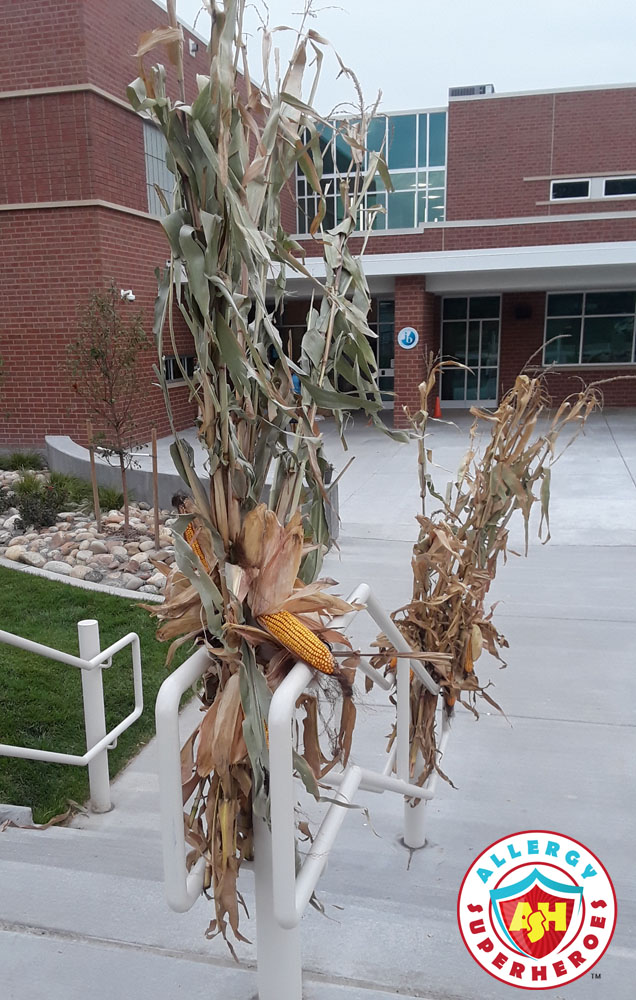 The entrance to our school, decked out for the festival | Food Allergy Superheroes